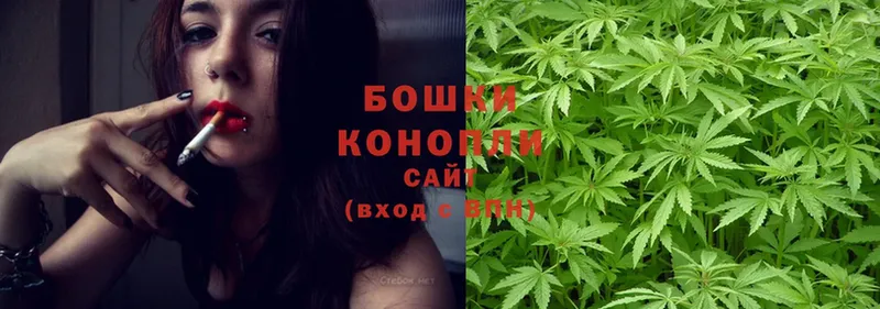 купить наркотик  Бородино  Конопля Bruce Banner 